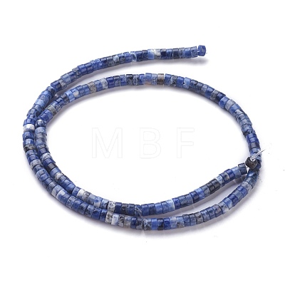Natural Sodalite Beads Strands G-H230-10-1