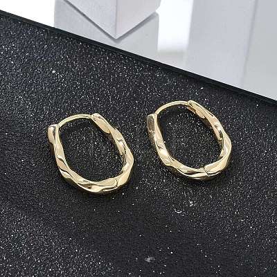 Brass Twist Hoop Earrings EJEW-Q014-02G-1