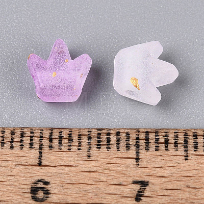 Frosted Transparent Acrylic Beads FACR-T009-01G-1