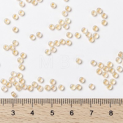 MIYUKI Round Rocailles Beads X-SEED-G008-RR0282-1