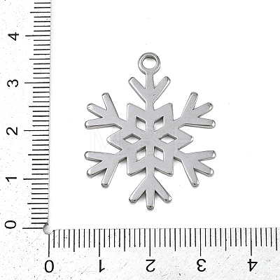 304 Stainless Steel Pendants LS-STAS-G363-04P-1
