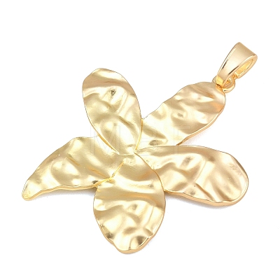 Alloy Big Pendants FIND-I074-02MG-03-1