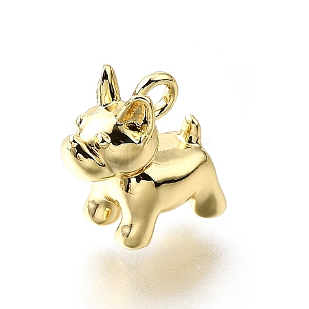 Brass Charms KK-V011-44G-1