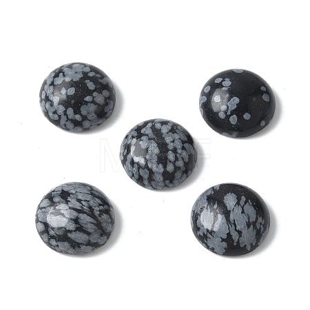 Natural Snowflake Obsidian Cabochons G-Z075-06E-1