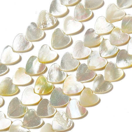Natural White Shell Beads Strands SHEL-F003-01A-1