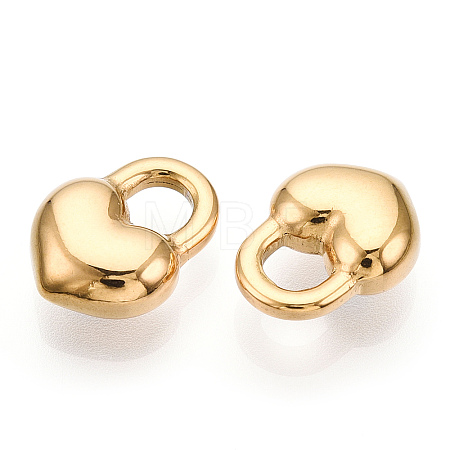 304 Stainless Steel Charms STAS-T064-18G-1