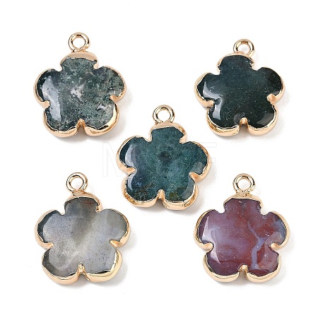 Natural Indian Agate Pendants G-P566-01G-12-1