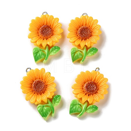 Opaque Resin Pendants RESI-K050-01A-1