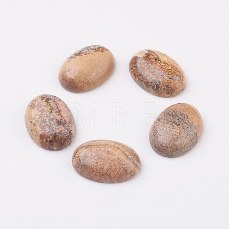 Natural Picture Jasper Flat Back Cabochons G-G741-30x40mm-07-1