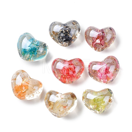 Transparent Resin & Natural Shell Beads RESI-B039-02A-1