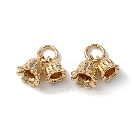 Rack Plating Brass Charms LS-KK-C020-02LG-1