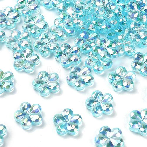 Transaparent Acrylic Beads PACR-H004-01L-1