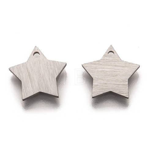 304 Stainless Steel Pendants STAS-O133-03A-P-1