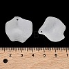 Frosted Acrylic Pendants SACR-F016-02C-3