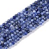 Natural Sodalite Beads Strands LS-G-G139-A07-02-1