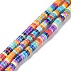 Natural Trochid Shell Beads Strands SSHEL-G023-02B-02-1