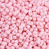 Baking Paint Glass Seed Beads X1-SEED-K010-A17-2