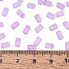 FGB Frosted Transparent Glass Seed Beads SEED-N013-05A-07-4