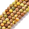 Dyed Natural Regalite/Imperial Jasper/Sea Sediment Jasper Beads Strands G-B124-C02-04-1