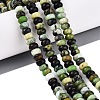Natural Serpentine Beads Strands G-N367-02A-14-1