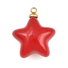 304 Stainless Steel Resin Pendants LS-STAS-K322-10D-02-1