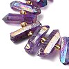 Electroplated Natural Quartz Crystal Beads Strands G-F800-F17-3
