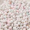 Baking Paint Glass Seed Beads X1-SEED-F006-01A-14-3