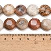 Natural Fossil Coral Beads Strands GG-CBA362F-02-5
