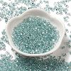 Baking Paint Glass Seed Beads SEED-K009-03B-15-2