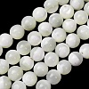 Natural Trochid Shell/Trochus Shell Beads Strands SH-CBA2978-16B-1