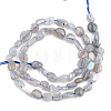 Natural Labradorite Beads Strands X-G-S359-139-2