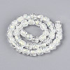 Handmade Foil Lampwork Beads Strands FOIL-T008-01H-1