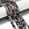 Natural Dragon Veins Agate Beads Strands G-G177-E16-01-5