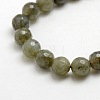 Natural Gemstone Labradorite Faceted Round Bead Strands G-O021-10mm-01-2