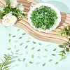 900Pcs 3 Colors Transparent Acrylic Charms TACR-PA0001-27-4