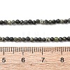 Natural Serpentine/Green Lace Stone Beads Strands G-Z116-A16-2mm-5