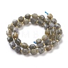 Natural Labradorite Beads Strands G-K303-A26-8mm-3