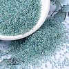 MIYUKI Round Rocailles Beads X-SEED-G007-RR0263-1