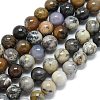 Natural Dendritic Opal Beads Strands G-R494-A23-03A-2