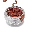 Natural Red Jasper Chip Pachira Glabra Display Decorations DJEW-K025-04D-2