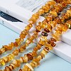 Natural Amber Chip Beads Strands X-G-E271-81-4