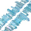 Spray Painted Electroplate Natural Quartz Crystal Points Beads Strands G-Q610-02D-1