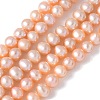 Natural Cultured Freshwater Pearl Beads Strands PEAR-I007-07O-05D-2