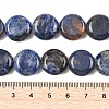 Natural Sodalite Beads Strands G-L648-B07-15mm-6