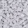 FGB Frosted Transparent Glass Seed Beads SEED-N013-03A-01-3