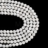 Natural Rainbow Moonstone Beads Strands G-C280-B15-10mm-5