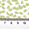 2-Hole Baking Paint Glass Seed Beads X-SEED-S031-M-SH1204FR-2