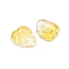 Two-Tone Transparent Glass Charms X-GLAA-H016-15J-2