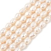 Natural Cultured Freshwater Pearl Beads Strands PEAR-I007-01C-05A-2