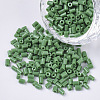 8/0 Two Cut Glass Seed Beads SEED-S033-01A-02-1